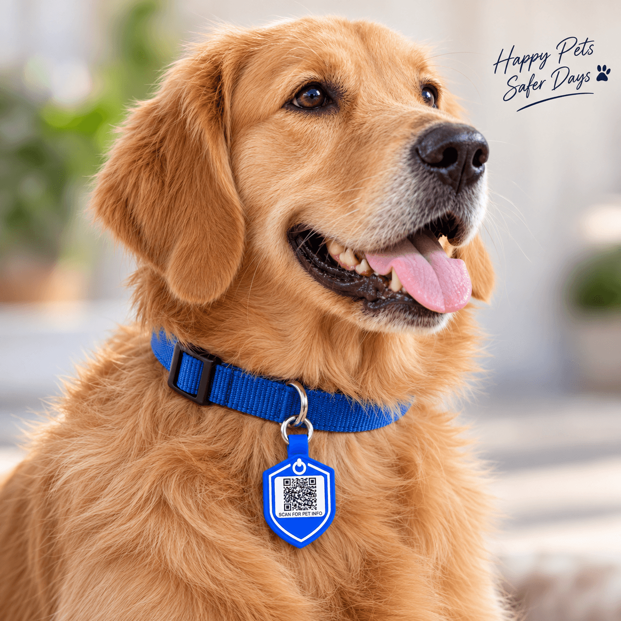 LifeTag Paw – Emergency QR Pet ID Tag
